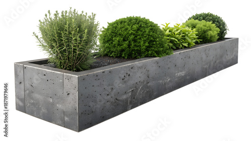 Long Rectangular Grey Concrete Planter Box with Lush Green Shrubs and Herbs Isolated on White