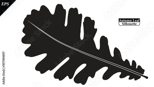 A clean black silhouette of an autumn leaf isolated on a white background. The simple shape highlights seasonal symbolism and natural form, fall-themed designs, logos, icons, decorations, educational