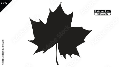 A clean black silhouette of an autumn leaf isolated on a white background. The simple shape highlights seasonal symbolism and natural form, fall-themed designs, logos, icons, decorations, educational