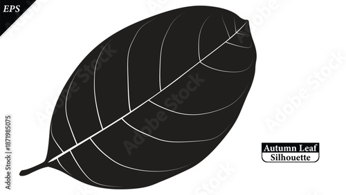 A clean black silhouette of an autumn leaf isolated on a white background. The simple shape highlights seasonal symbolism and natural form, fall-themed designs, logos, icons, decorations, educational