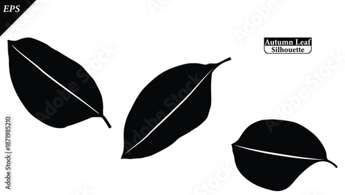 A clean black silhouette of an autumn leaf isolated on a white background. The simple shape highlights seasonal symbolism and natural form, fall-themed designs, logos, icons, decorations, educational