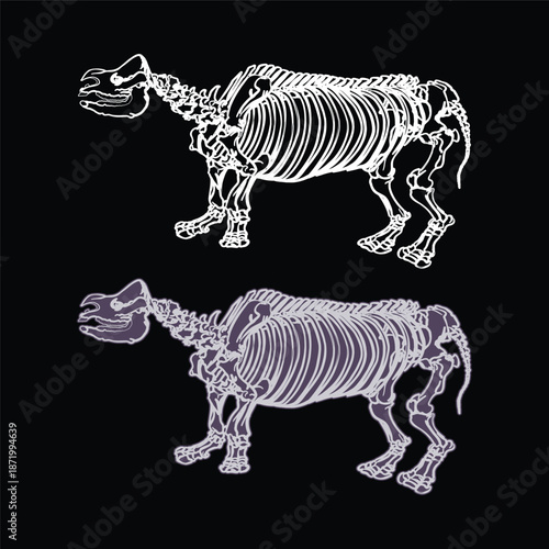 Anatomical diagram featuring two stylized quadruped skeletons in white and purple against black