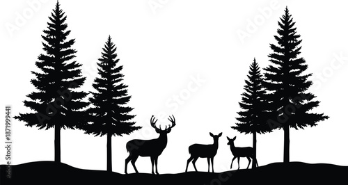 Silhouette wildlife scene with deer family and pine trees in forest landscape at sunset creating peaceful natural wilderness atmosphere