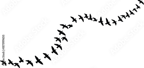 Silhouettes of birds flying in a curved migration formation, symbolizing wildlife movement, teamwork, seasonal travel, and freedom in minimalist style