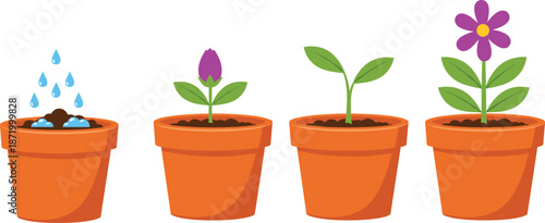 Plant growth stages illustration, terracotta flower pots, seed to bloom cycle, gardening concept art, cad drawing flat vector illustration