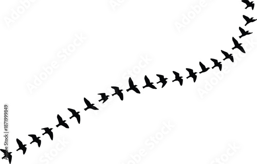 Silhouettes of birds flying in formation across the sky, symbolizing migration, freedom, nature, teamwork, and wildlife movement in minimalist style
