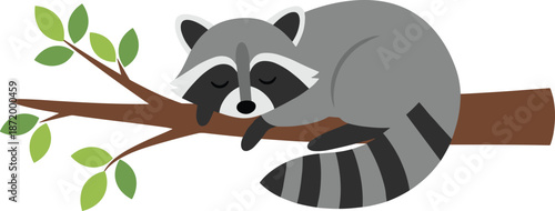 Sleeping raccoon vector illustration, cartoon animal on tree branch, peaceful forest wildlife design, cute nature clipart, black silhouette graphic