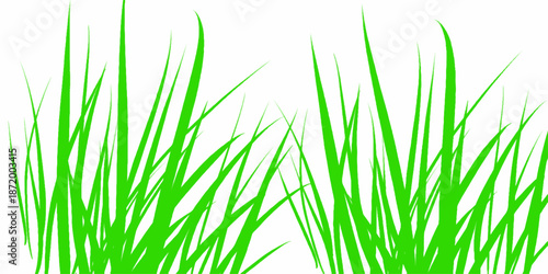 Green grass. The Bush grass. Vector illustration. Grass silhouette seamless pattern. Green grass meadow border vector pattern. Autumn summer plant field lawn.