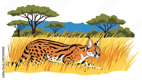 Wild cat hunting quietly through tall grass, flat vector illustration with solid colors and clean outlines, focused wildlife behavior scene ideal for nature and animal concepts