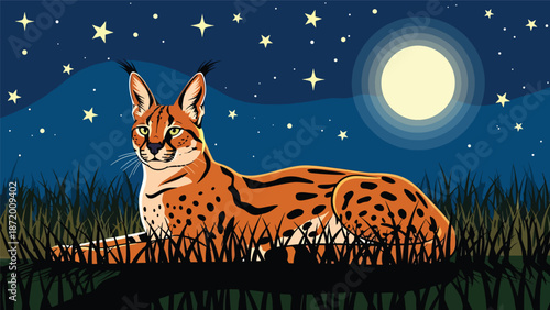 Wild cat resting under moonlight in tall grass, nighttime wildlife scene in flat vector illustration with solid colors and clean outlines, peaceful nature and animal concept