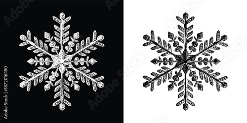 Detailed illustration of a complex six-sided snowflake displayed in both white on black and black on white contrasting styles