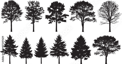 Large collection of diverse tree silhouettes featuring deciduous and evergreen species for architectural visualization landscape design and environmental nature vector projects set.