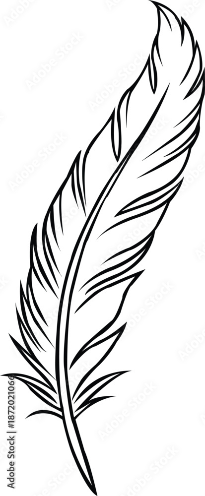 Obraz premium Minimalist single feather line art
