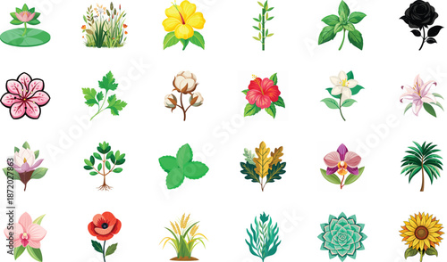 Botanical Plant and Flower Illustration Bundle Featuring Tropical Leaves, Succulents, Cactus, Ferns and Floral Elements, Nature Inspired Flat Vector Icons Isolated on White Background