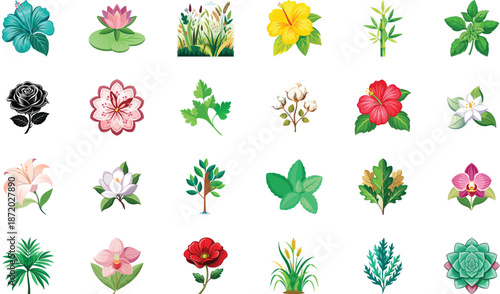 Botanical Plant and Flower Illustration Bundle Featuring Tropical Leaves, Succulents, Cactus, Ferns and Floral Elements, Nature Inspired Flat Vector Icons Isolated on White Background