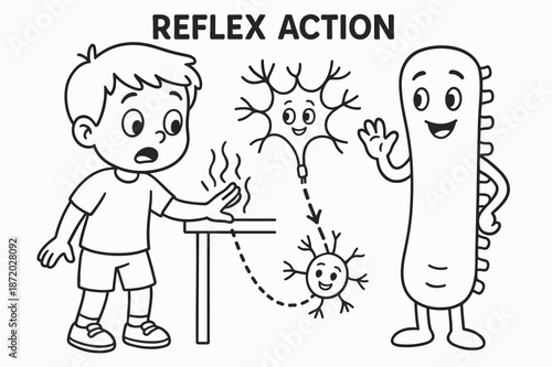 Reflex Action Coloring Page. Reflex action children?s coloring book illustration, outlined drawing, a cartoon kid touching something warm while a neuron signal