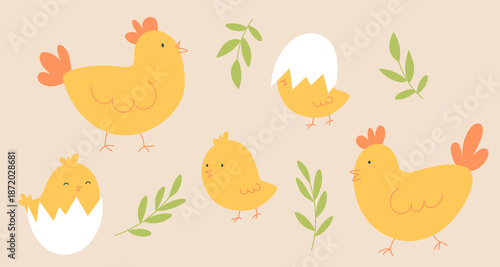 Cute illustration with hens and small chicks hatching from cracked eggshells, surrounded by green spring leaves. Cheerful farm-themed design perfect for Easter and spring kids projects.