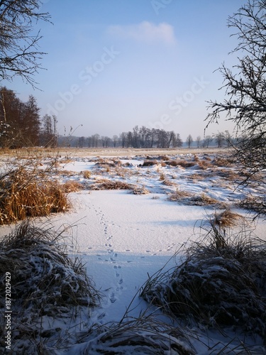 Schnee mit Tierspuren