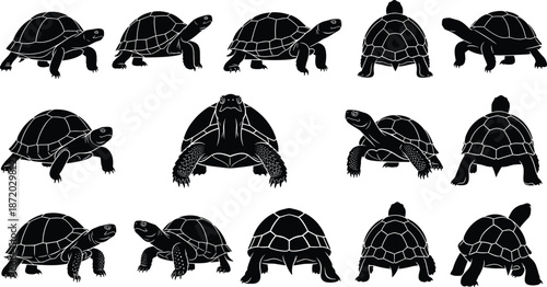 Set of turtle silhouettes in multiple poses, black reptile icons of tortoise walking and standing, wildlife vector collection