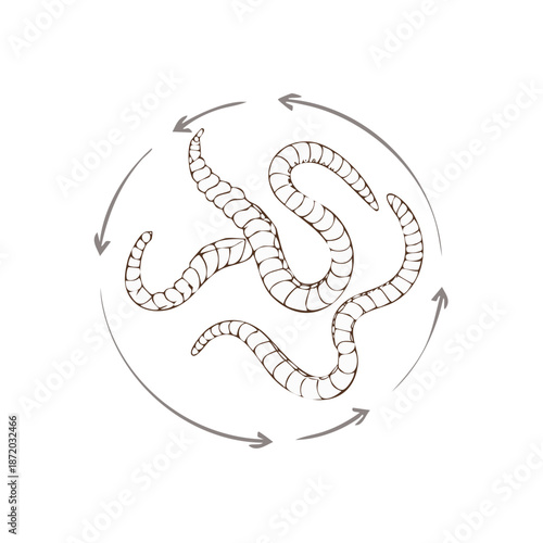 Worms composting concept illustration of organic recycling with circular arrows representing ecological cycle