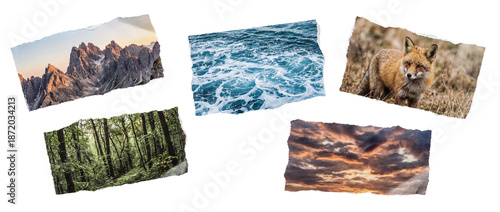 Collage of torn nature photos featuring mountains, forest, ocean, wildlife and dramatic sky arranged as creative design elements