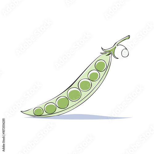 Stylized Open Pea Pod with Green Peas Illustration Artistic Vegetable Food Icon