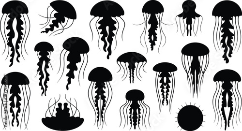 Jellyfish Silhouettes Vector Collection Diverse Marine Life Graphics Set Elegant Underwater Creature Illustrations Aquatic Animals Vector Designs
