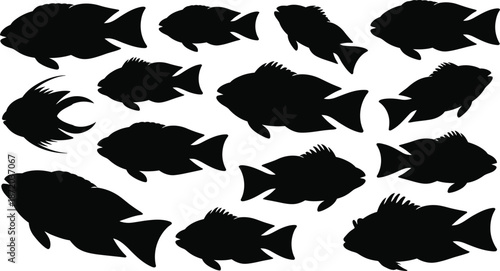 Diverse fish silhouette collection showcasing varied species, sizes, and fin styles, perfect for marine life illustrations, aquatic themed projects, or oceanographic educational resources.
