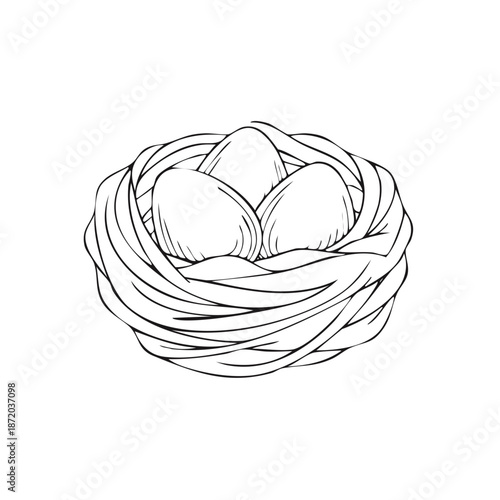 Hand-drawn sketch of a bird nest with three eggs, graphic vector illustration, springtime celebration design