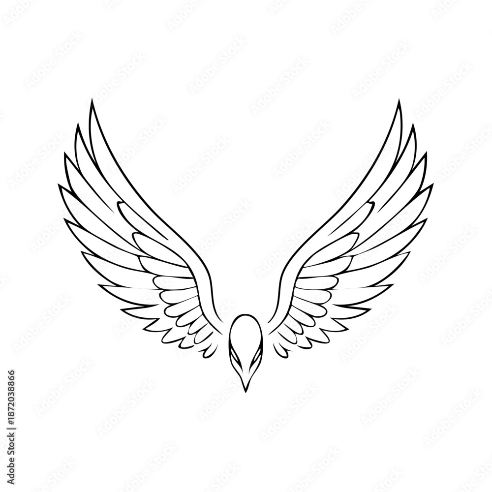 Obraz premium Bird wings outline illustration in black and white, bird of prey design element, vector
