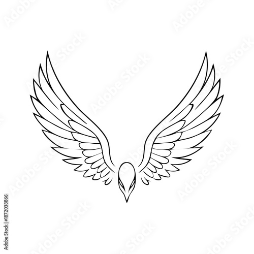 Bird wings outline illustration in black and white, bird of prey design element, vector