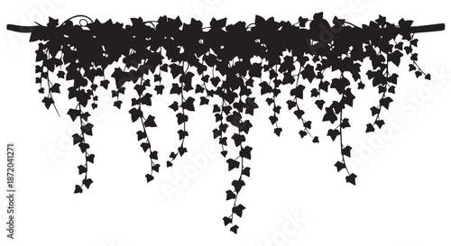 Black silhouette of ivy vines hanging from a branch, isolated on transparent background