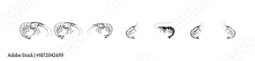 Set of shrimp vector icons, hand drawn prawns with tails, delicious sea food collection