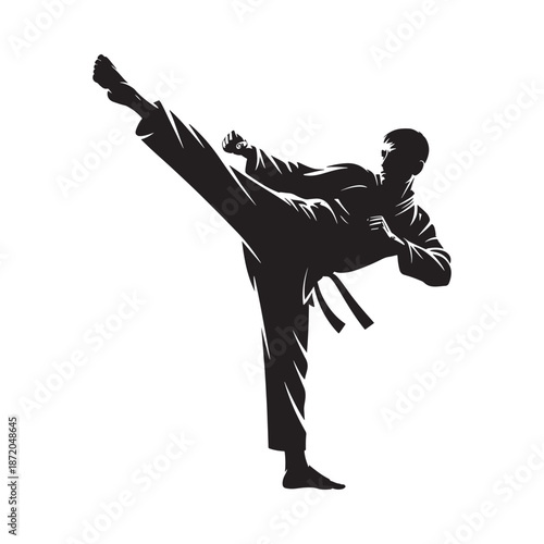 A silhouetted martial artist demonstrating a dynamic side kick in a training stance