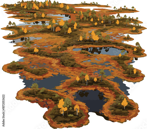 Create a realistic Aerial view of a bog landscape in autumn vector art with white background.