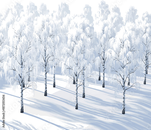 Create a realistic Aerial view of a birch forest in winter covered with frost vector art with white background..