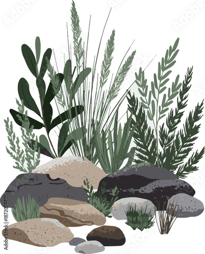 Create a realistic Rockery with different plants and ornamental grass and rocks vector art with white background.
