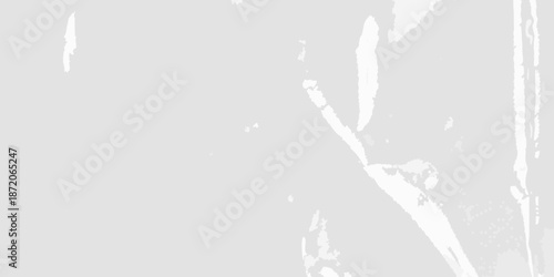 Abstract grayscale image featuring blurred lines and indistinct shapes