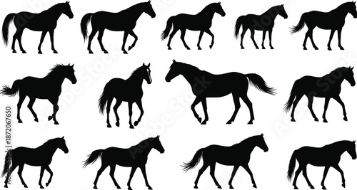 Collection of black horse silhouettes in various walking and trotting poses isolated on white background for equine graphic design projects
