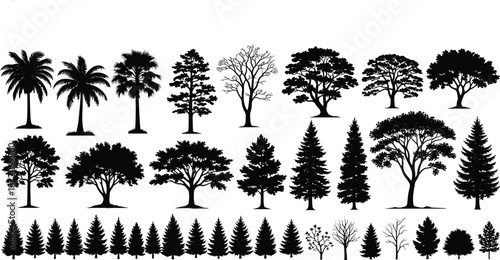 Set of Tree Silhouettes Collection with Pine Palm Oak Spruce and Maple for Landscape Design Architecture CAD Flat Vector Illustration Plan