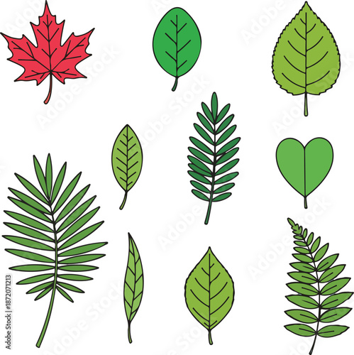 A comprehensive collection of green leaf vectors and floral design elements featuring maple and oak foliage icons for nature-inspired spring and summer tree branch illustrations