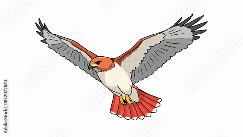 A majestic bird of prey with outstretched wings soars gracefully against a plain white backdrop