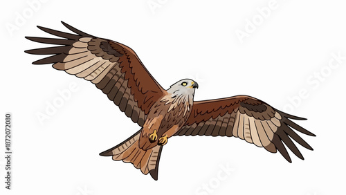 A majestic bird of prey with outstretched wings soars against a blank white background