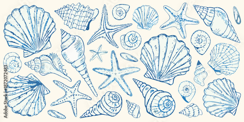 An assortment of detailed blue sketched seashells and starfish on a white background