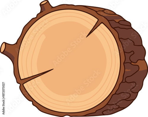 A cross-section of a tree trunk shows concentric growth rings and bark