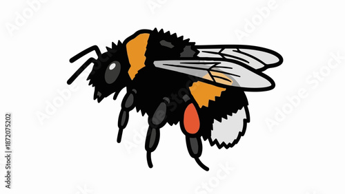 A fuzzy bumblebee illustration with black, orange, and white segments