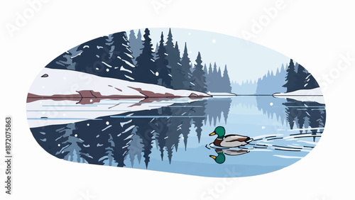 A duck swims in a partially frozen lake surrounded by snow-covered pine trees, with a reflection