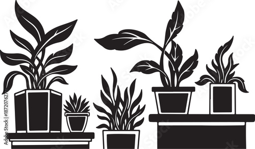 Black and white illustration of potted plants on shelves