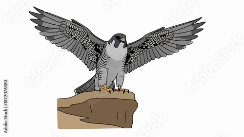 A gray falcon with outstretched wings perches on a rocky outcrop