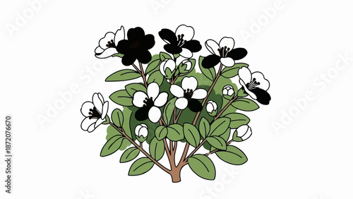 A decorative illustration of a flowering shrub with white and black blossoms